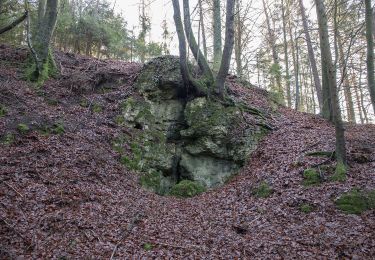 Tour Zu Fuß Neukirchen bei Sulzbach-Rosenberg - Rundwanderweg No.5 Neunkirchen - Photo