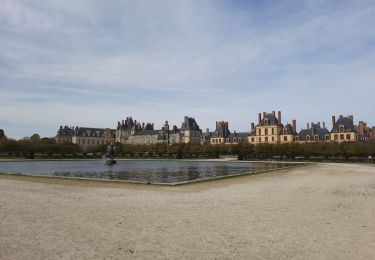 Randonnée Marche Fontainebleau - Château de Fontainebleau  - Photo