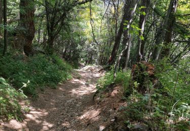 Trail Walking Allos - Lac des grenouilles  - Photo