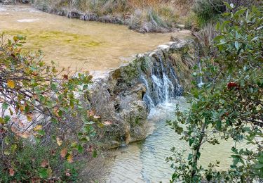 Trail Walking Ferrières-les-Verreries - Le mas de la Baume Ferriere les verreries - Photo