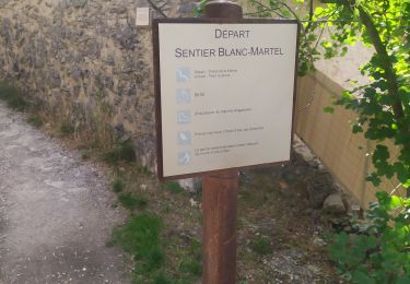 Tocht Stappen La Palud-sur-Verdon - sentier blanc Martel depuis Chalet les Malines - Photo