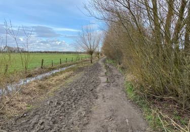 Trail Walking Diksmuide - Blankaart 24 km - Photo