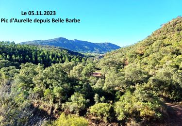 Tour Wandern Saint-Raphaël - Pic d'Aurelle depuis le Col Belle Barbe - Photo