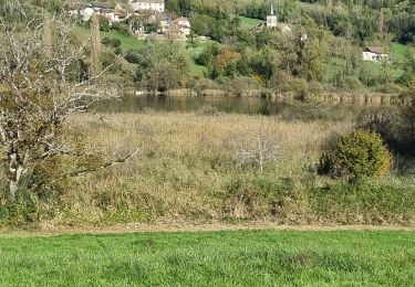 Tour Rennrad Yenne - circuit des vignes Yenne - Photo