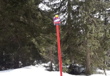 Trail Snowshoes Allevard - Collet d Allevard - arête de l évêque  - Prarion - Photo