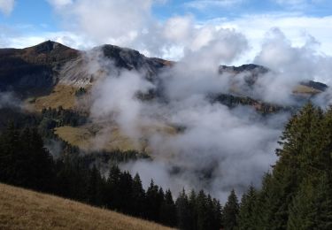 Tocht Stappen Megève - rochebrune - Photo