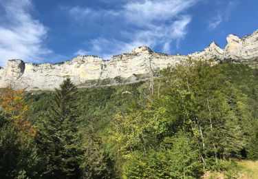 Randonnée Marche Plateau-des-Petites-Roches - Piton de Bellefond - Photo