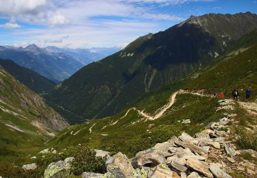 Tour Zu Fuß Trient - Sentier des Alpages - Photo