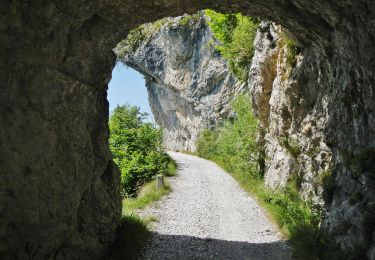 Randonnée A pied Tremosine sul Garda - Le Acque, Bocca di Fobbia - Photo