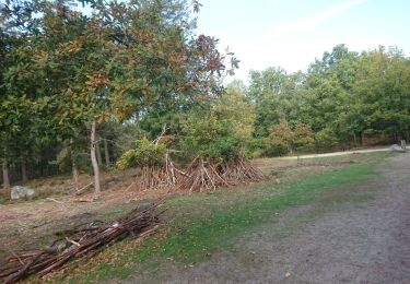 Trail Walking Fontainebleau - franchard 11 octobre 2022 - Photo