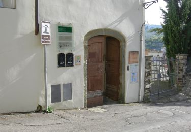 Percorso A piedi Greve in Chianti - IT-G8 - Photo