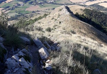 Trail Walking Gap - Le Huchon et pic de Charance - Photo