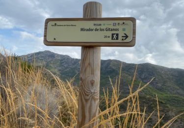 Tour Wandern Marbella - Club Med Marbella - Mirador de Los Gitanos - Photo