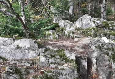 Trail Walking Rouffach - 2023 10 12 Boenlesgrab - Photo