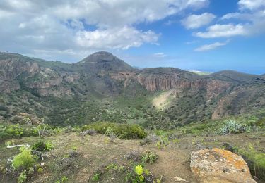 Randonnée Marche Santa Brígida - Cratère de Bandama (Gran Canaria) - Photo