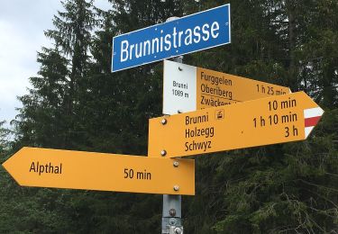 Trail On foot Alpthal - Brunni - Muesliegg - Photo