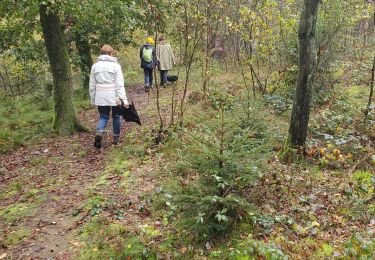 Tocht Stappen Montcornet - montcornet sentier - Photo