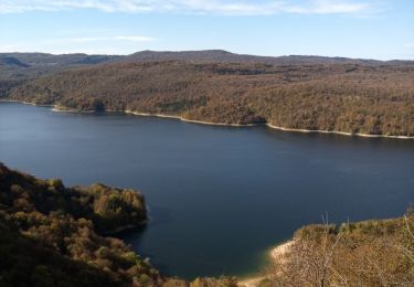 Tour Wandern Moirans-en-Montagne - Le Regardoir - Photo