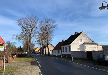 Tocht Te voet Nuthe-Urstromtal - Wald- und Wiesenweg - Photo