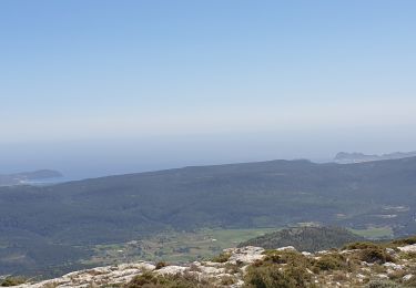 Trail Walking Plan-d'Aups-Sainte-Baume - Le pas de la Cabre - le col de Bretagne  - L'Hotellerie - Photo