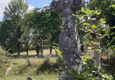 Excursión Senderismo Peyre en Aubrac - les moulins? - Photo