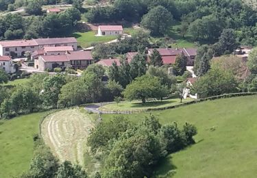 Trail Horseback riding Cuiseaux - petit tour cuiseaux - chevreaux  - Photo