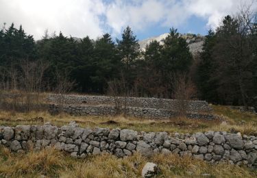 Randonnée Marche Saint-Vallier-de-Thiey - montagne de thiey - Photo