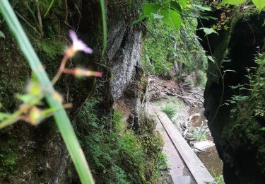 Tocht Stappen Bertrix - la roche percée  - Photo