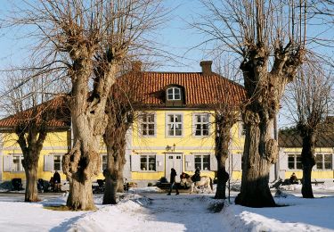 Percorso A piedi  - Nyckelviken Blå spåret - Photo