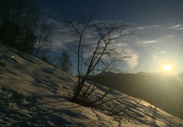 Tour Zu Fuß Peveragno - IT-L17 - Photo