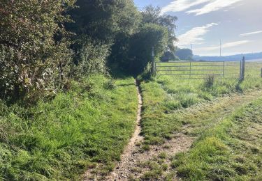 Tocht Elektrische fiets Assesse - Crupet -Maillen - Photo