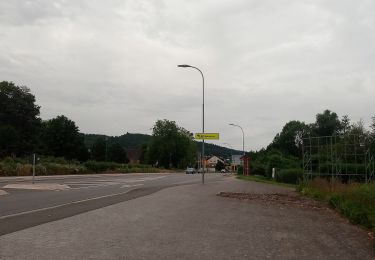 Percorso A piedi Mosbach - Rundwanderweg Knopfwald 2: Galgenforlen-Weg - Photo