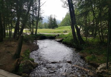 Trail Walking Chamonix-Mont-Blanc - CHAMONIX ... la Floria.  - Photo