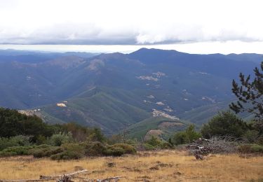 Trail Walking Val-d'Aigoual - cascades orgon - Photo