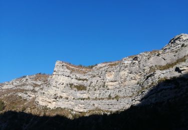 Tocht Stappen Rémuzat - le mont rond - Photo