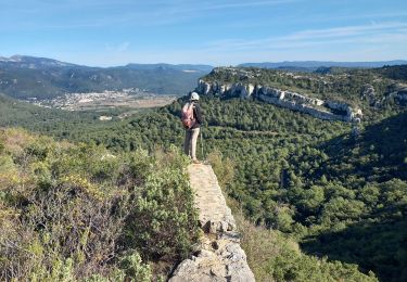 Trail Walking Roquefort-la-Bédoule - Le Montounier 563m 6.11.22 - Photo