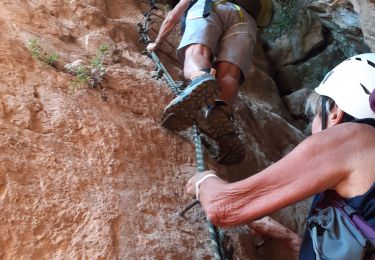 Excursión Senderismo Ollioules -  Les Grottes  St Martin  - Photo