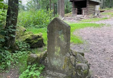 Tocht sport Lembach - Boucle des 4 châteaux autour du Flekenstein - Photo