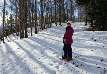 Excursión Raquetas de nieve Bouvante - 20240124fonturle - Photo