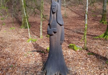 Tocht Stappen Herbeumont - herbeumont. sentier des songes - Photo