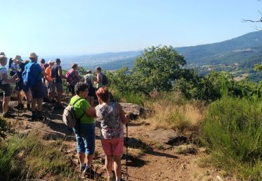 Tour Wandern Pavezin - Crêt de Baronnette - Photo