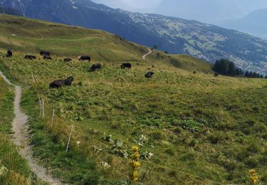 Tocht Stappen Arbaz - pas de Maimbré  - Photo