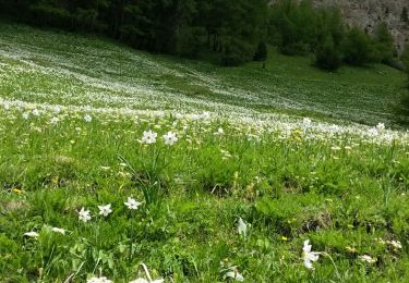 Excursión Senderismo Le Monêtier-les-Bains - Lac de Ponsonnière  - Photo