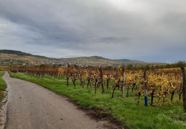 Tocht Stappen Balbronn - 67 Balbronn marche pop.2019 - Photo