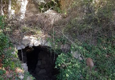 Randonnée Marche Artignosc-sur-Verdon - ARTIGNOSC SUR VERDON - Photo