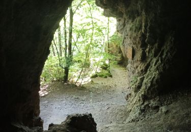 Trail Trail Vic-sur-Cère - Cascade, la Garde, grotte des anglais  - Photo