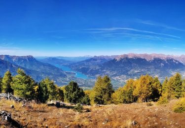 Trail Walking Saint-Sauveur - Le Méale  - Photo