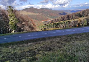 Tour Wandern Fellering - Markstein - Photo