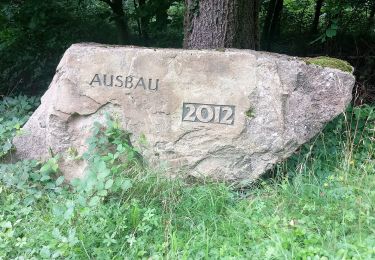 Percorso A piedi Neckargerach - Rundwanderweg Neckargerach 4: Gertberg-Weg - Photo