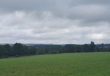 Tocht Stappen Habay - rando moulin d anlier 31/07/2021 - Photo